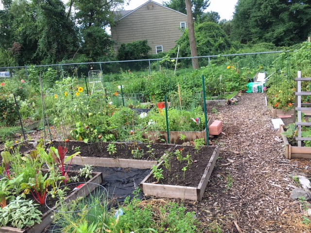 Community Garden