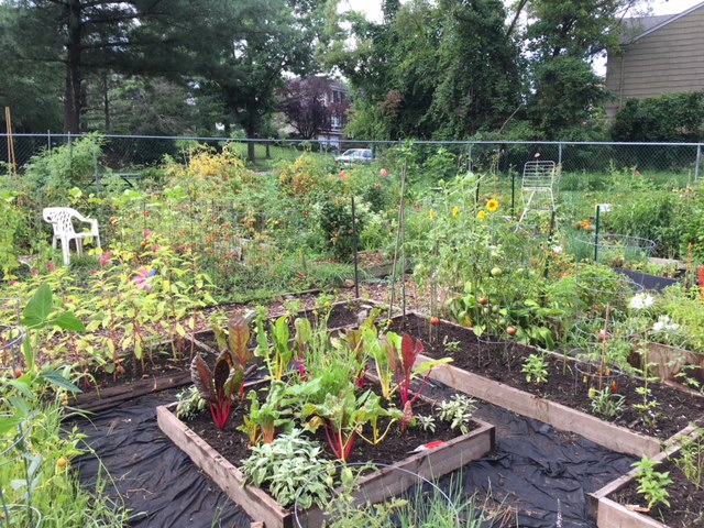 Community Garden