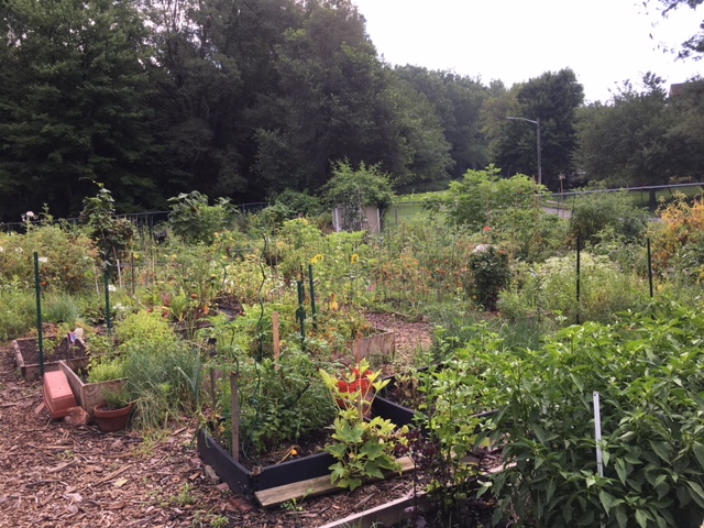 Community Garden