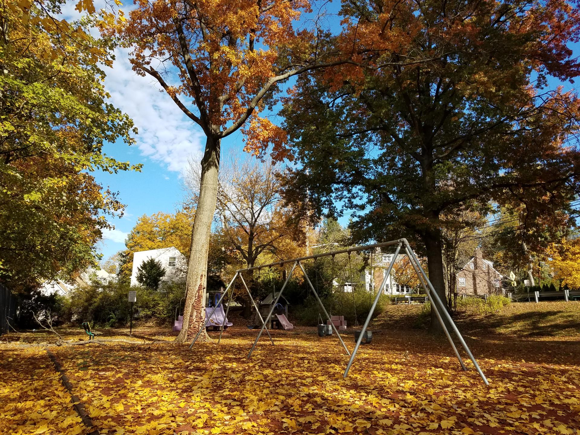 Upper Sylvan Park Fall Foliage 2018