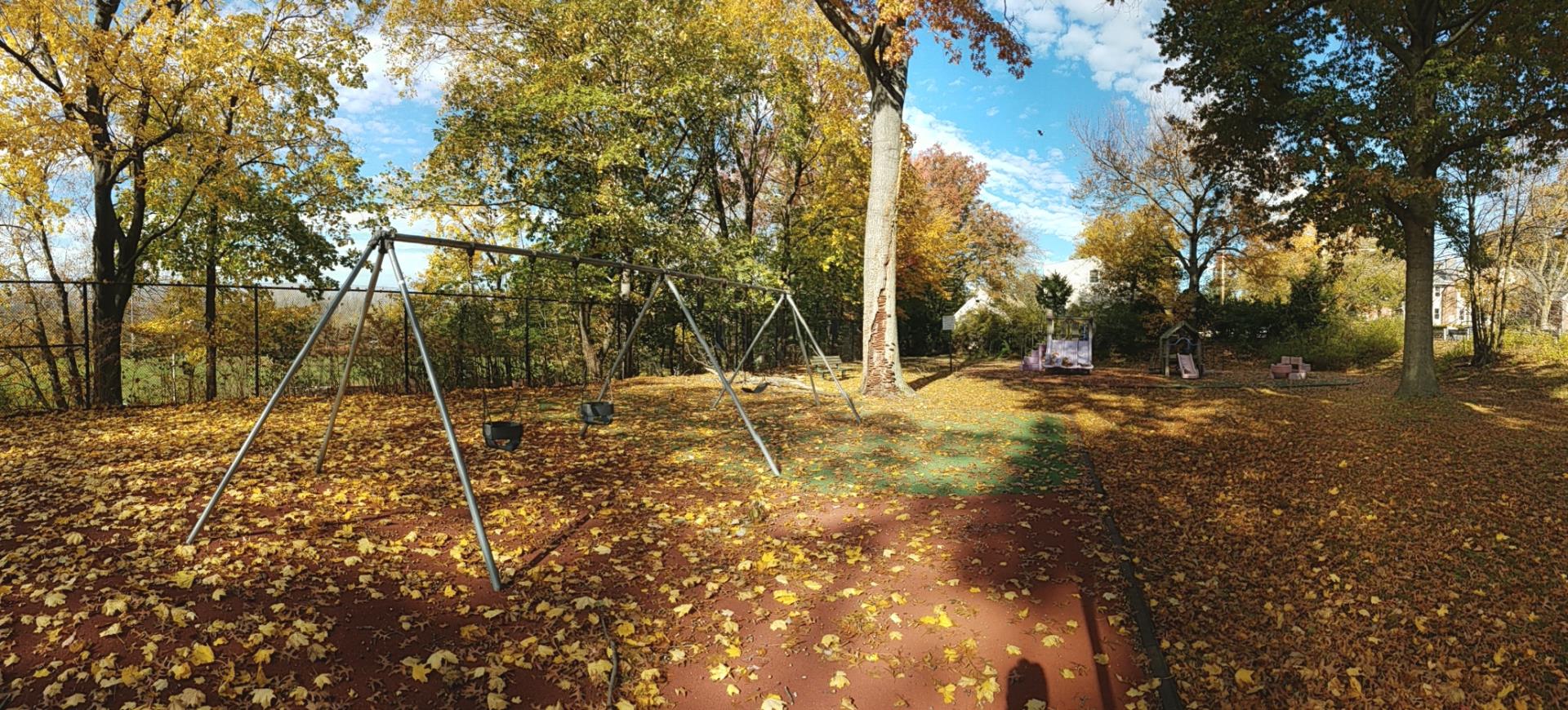 Upper Sylvan Park Swings