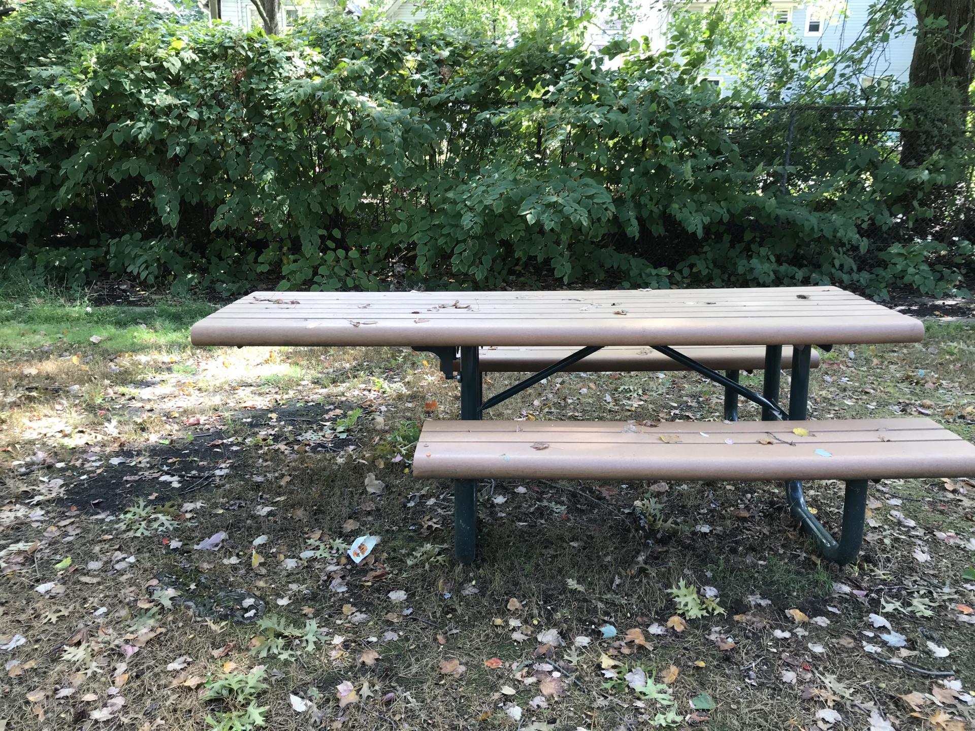 Station Park Accessible Picnic Table